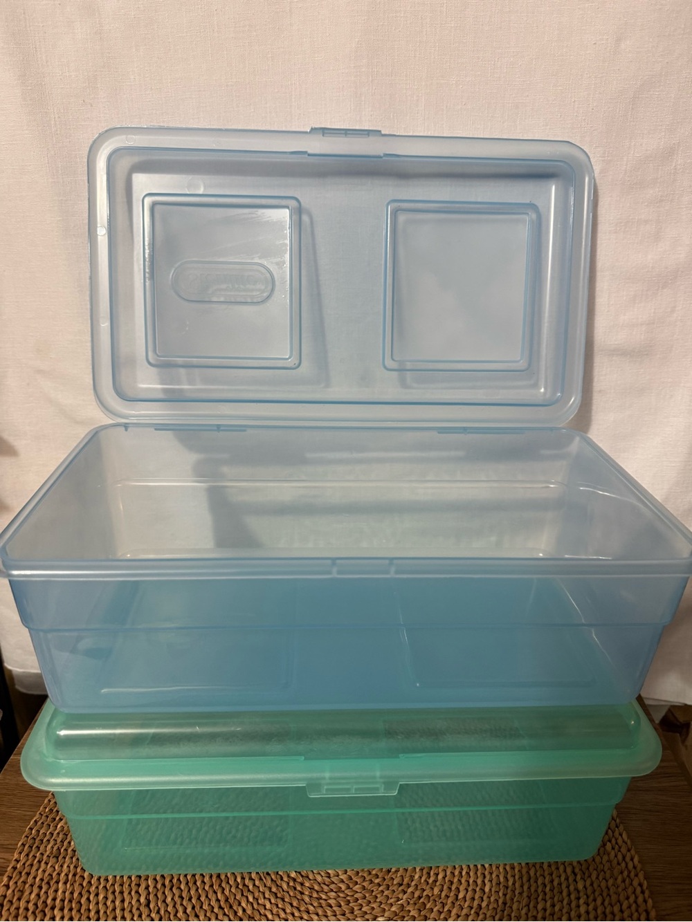 Vintage Sterilite container with lid